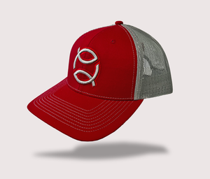 Jesus Fish & Baseball Hats