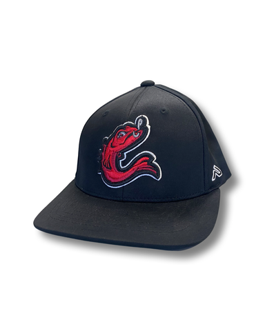 Fitted Catch Fish Hat