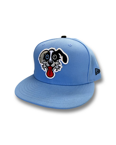 Blue Shep Dog Fitted Hat